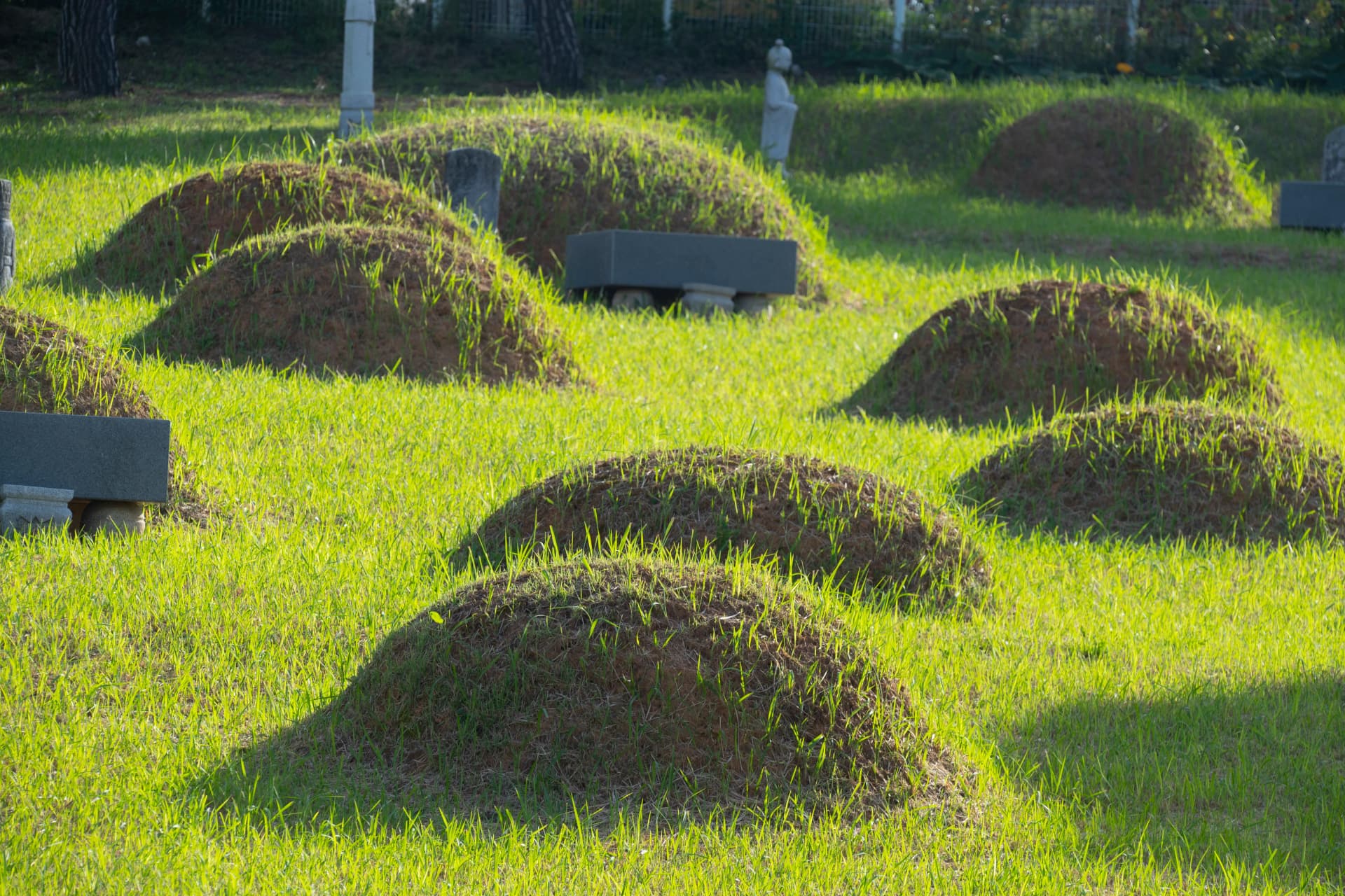 분묘기지권 존속 기간 의무 발생